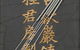 Bamboo Health - thumb 1