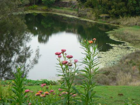 Banora Holistic Healing - Dentist Find 0