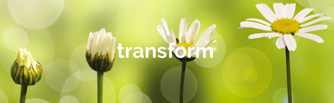 Achieve Business Dynamics - Dentist Find 1