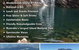 Cardwell & Hinchinbrook Tours & Information - thumb 2