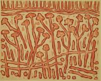 Northern Editions Printmaking Studio & Gallery - Dentist Find 2