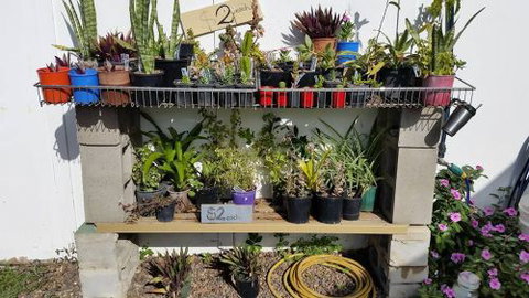Burrum Landscape Supplies - Dentist Find 4