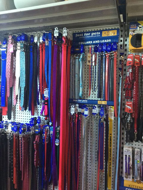 Port Stephens Pet Barn - Dentist Find 3
