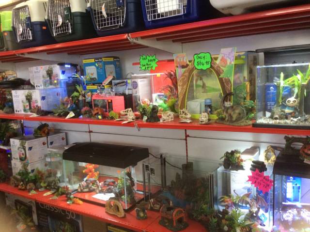PJs Pet Barn