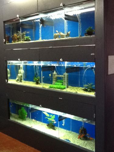 Illawarra Pet Supplies