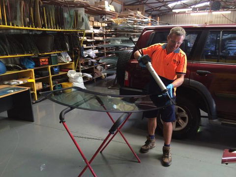 Novus Auto Glass - Dentist Find 1