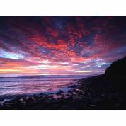 Ocean Art Australia