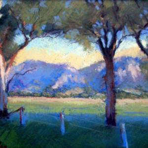 Galleries In The Gardens - Dentist Find 3