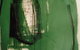 Claire Souter Gallery - thumb 0