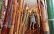 Cantata Studio - thumb 1