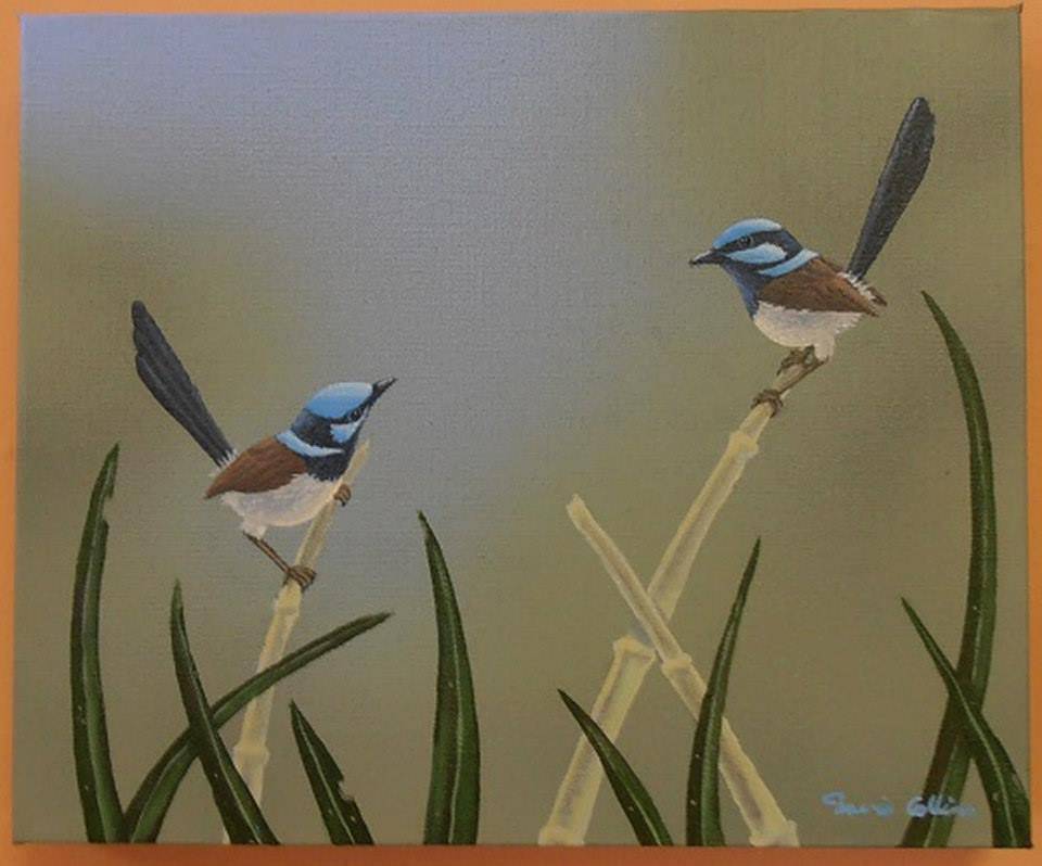 Yarragrin ACT Dentist Find