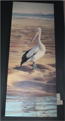 Maitland Framing Gallery