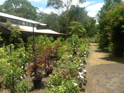 Fairhill Native Plants Retail