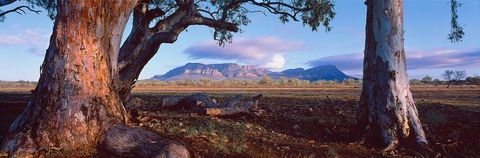 Nissarana Galleries Noosa - Dentist Find 1