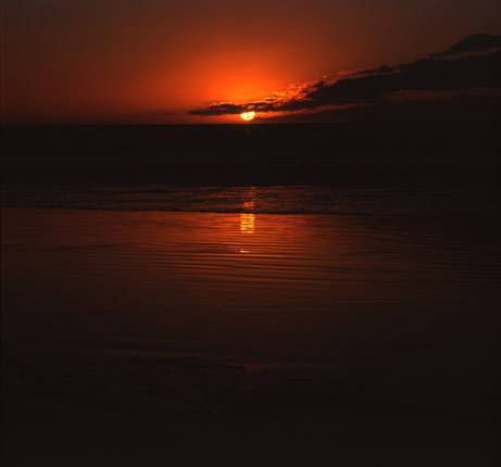 Nissarana Galleries Noosa - Dentist Find 3