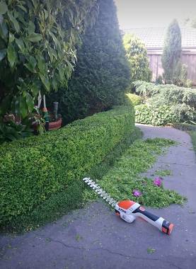 Bowral Mowers - Dentist Find 4