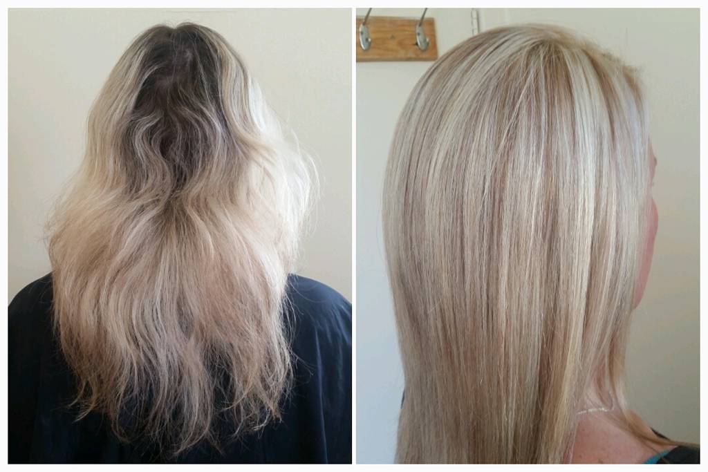 Looking Wild  Fabulous Hair Salon