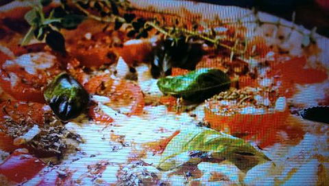 Alfio's Pizzeria - Dentist Find 0