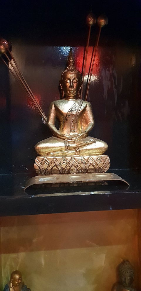 Tongue Thai'd - Dentist Find 5