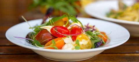 Black Swan Winery & Restaurant - Dentist Find 2
