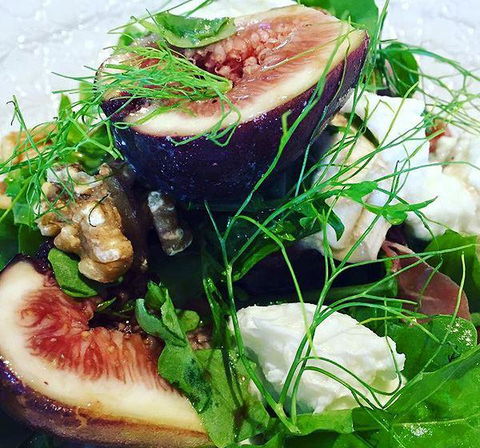 GPO Hotel - Dentist Find 14