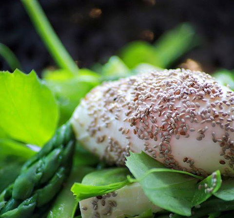 GPO Hotel - Dentist Find 5