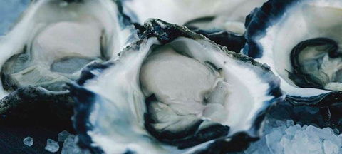 La Piazza - Dentist Search 0