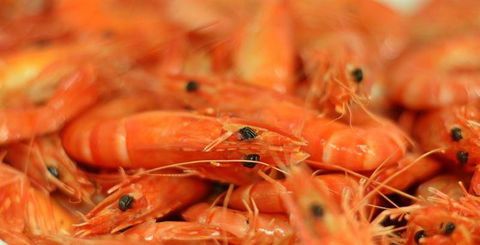 La Piazza - Dentist Search 27