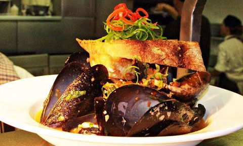 La Piazza - Dentist Search 38