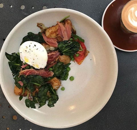 The Crazy Mexican - Dentist Search 7