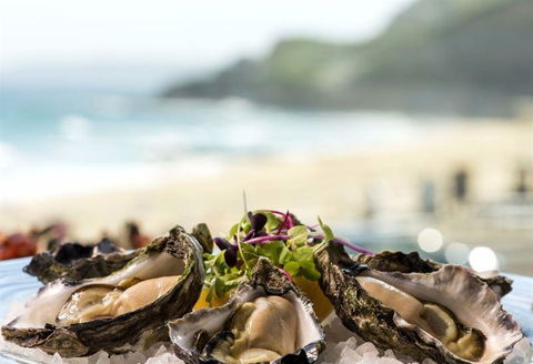 Tinto Thai - Dentist Search 5