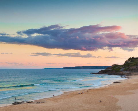 Tinto Thai - Dentist Search 8