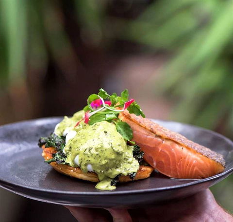 Armchair Collective - Dentist Search 9