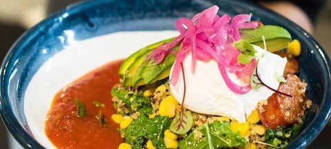 Armchair Collective - Dentist Search 10