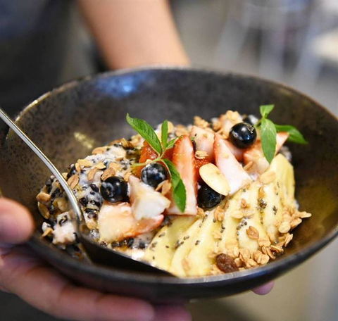 Armchair Collective - Dentist Search 11