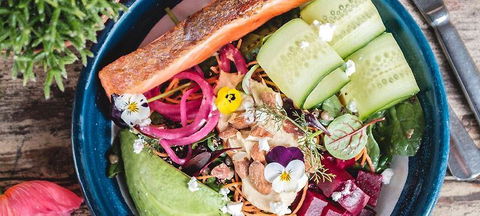 Armchair Collective - Dentist Search 1