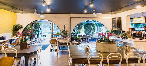 Armchair Collective - Dentist Search 2