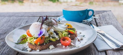 Armchair Collective - Dentist Search 3