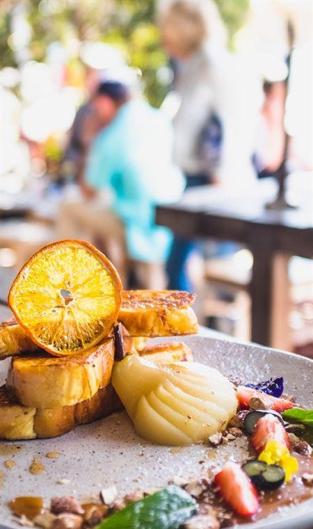 Armchair Collective - Dentist Search 4