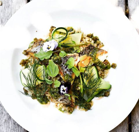 Armchair Collective - Dentist Search 7