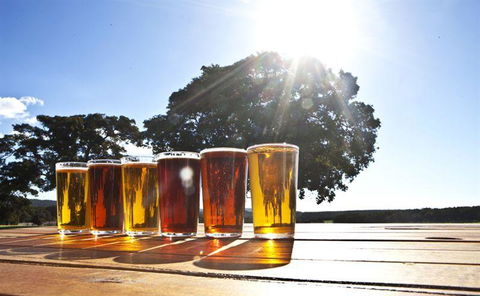 Eagle Bay Brewing Co - Dentist Find 13