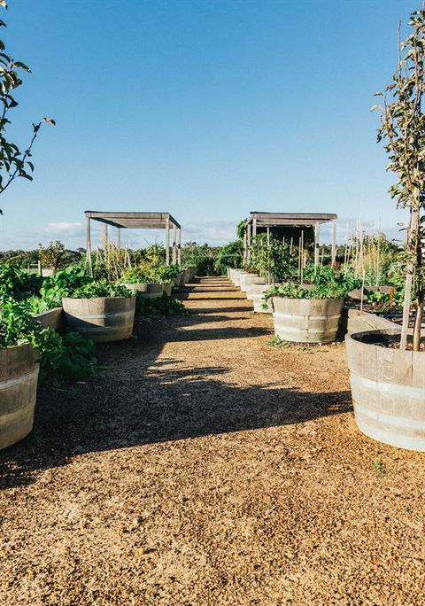 Eagle Bay Brewing Co - Dentist Find 15