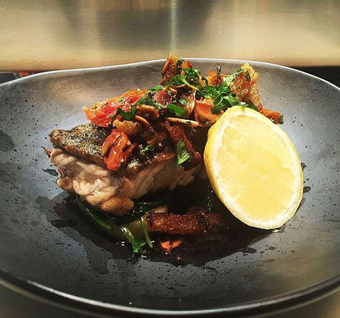 Stella Italian Kitchen And Pizzeria - Dentist Find 12