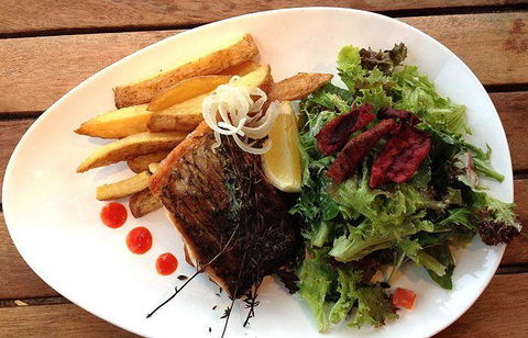 Katch-Up Seafood Grill & More - Dentist Search 2