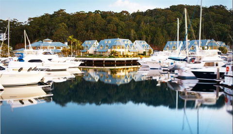 Posh Pizza - Dentist Search 8