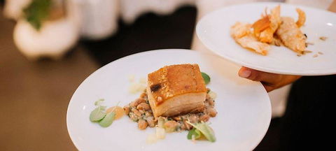 Tallwood Eatery - Dentist Search 1