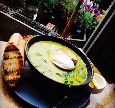 The Oaks Cafe At Acorn Nursery - Dentist Find 15