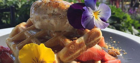 The Oaks Cafe At Acorn Nursery - Dentist Find 3