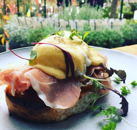 The Oaks Cafe At Acorn Nursery - Dentist Find 8