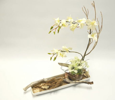 Green Goddess Florist - Dentist Find 1